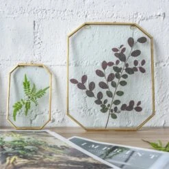 Wall Hanging Long Octagon Herbarium Brass Glass Frame For Pressed Flowers Dried Floating Frame -Ncyp Garden Sale Shop 20190905004 5