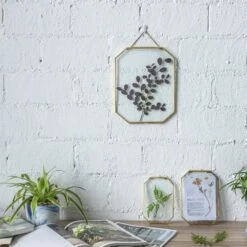 Wall Hanging Long Octagon Herbarium Brass Glass Frame For Pressed Flowers Dried Floating Frame -Ncyp Garden Sale Shop 20190905004 6