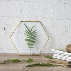 Hanging Hexagon Herbarium Brass Glass Frame For Pressed Flowers Dried Flowers Floating Frame 20 Hanging Hexagon Herbarium Brass Glass Frame For Pressed Flowers Dried Flowers Floating Frame -Ncyp Garden Sale Shop 20190905006 1