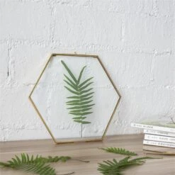 Hanging Hexagon Herbarium Brass Glass Frame For Pressed Flowers Dried Flowers Floating Frame 21 Hanging Hexagon Herbarium Brass Glass Frame For Pressed Flowers Dried Flowers Floating Frame -Ncyp Garden Sale Shop 20190905006 2