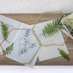 Hanging Hexagon Herbarium Brass Glass Frame For Pressed Flowers Dried Flowers Floating Frame 22 Hanging Hexagon Herbarium Brass Glass Frame For Pressed Flowers Dried Flowers Floating Frame -Ncyp Garden Sale Shop 20190905006 4