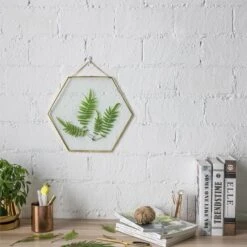 Hanging Hexagon Herbarium Brass Glass Frame For Pressed Flowers Dried Flowers Floating Frame 23 Hanging Hexagon Herbarium Brass Glass Frame For Pressed Flowers Dried Flowers Floating Frame -Ncyp Garden Sale Shop 20190905007 5