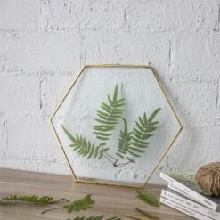 Hanging Hexagon Herbarium Brass Glass Frame For Pressed Flowers Dried Flowers Floating Frame 25 Hanging Hexagon Herbarium Brass Glass Frame For Pressed Flowers Dried Flowers Floating Frame -Ncyp Garden Sale Shop 20190905007 7