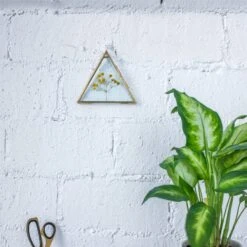 Hanging Triangle Herbarium Brass Glass Frame For Pressed Flowers Dried Flowers Poster -Ncyp Garden Sale Shop 20190905008 11 bb7e4c99 bd61 49da a9f4 9670d4dd1b4e