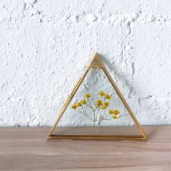 Hanging Triangle Herbarium Brass Glass Frame For Pressed Flowers Dried Flowers Poster -Ncyp Garden Sale Shop 20190905008 1 5fdf31d0 4679 408e 9e91 2b25d3a3d268
