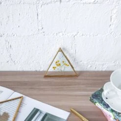 Hanging Triangle Herbarium Brass Glass Frame For Pressed Flowers Dried Flowers Poster -Ncyp Garden Sale Shop 20190905008 8 b65c27a7 2753 4eb9 ba9f d5c858f789a3