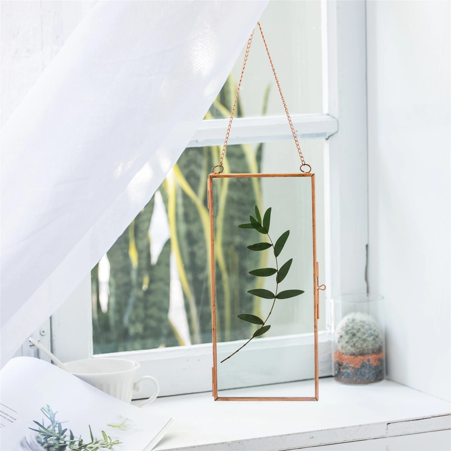 NCYP 4x9 Inchs Clear Glass Picture Frame Wall Hanging Certificate Photo Plant Specimen Clip 20 NCYP 4x9 Inchs Clear Glass Picture Frame Wall Hanging Certificate Photo Plant Specimen Clip - Image 20