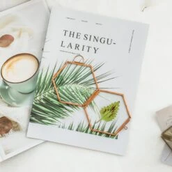 Hanging Small Pink Hexagon Herbarium Copper Glass Frame For Pressed Flowers Dried Flowers -Ncyp Garden Sale Shop 20190905012 2