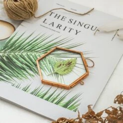 Hanging Small Pink Hexagon Herbarium Copper Glass Frame For Pressed Flowers Dried Flowers -Ncyp Garden Sale Shop 20190905012 3