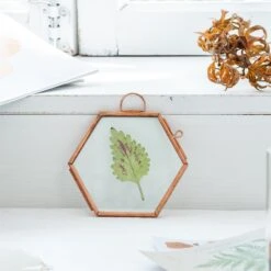 Hanging Small Pink Hexagon Herbarium Copper Glass Frame For Pressed Flowers Dried Flowers