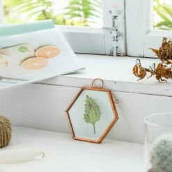 Hanging Small Pink Hexagon Herbarium Copper Glass Frame For Pressed Flowers Dried Flowers -Ncyp Garden Sale Shop 20190905012 5
