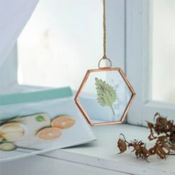 Hanging Small Pink Hexagon Herbarium Copper Glass Frame For Pressed Flowers Dried Flowers -Ncyp Garden Sale Shop 20190905012 7