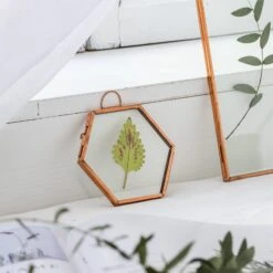 Hanging Small Pink Hexagon Herbarium Copper Glass Frame For Pressed Flowers Dried Flowers -Ncyp Garden Sale Shop 20190905012 8