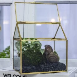 Handmade NCYP Geometric Glass Gold Terrarium Box House Shape, Close, Tabletop, Swing Lid For Air Plants Moss Snail Reptile Habitat -Ncyp Garden Sale Shop 20190923001 1
