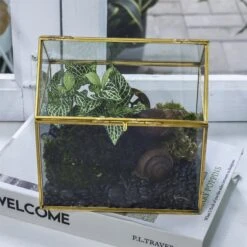 Handmade NCYP Geometric Glass Gold Terrarium Box House Shape, Close, Tabletop, Swing Lid For Air Plants Moss Snail Reptile Habitat -Ncyp Garden Sale Shop 20190923001 3