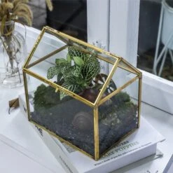 Handmade NCYP Geometric Glass Gold Terrarium Box House Shape, Close, Tabletop, Swing Lid For Air Plants Moss Snail Reptile Habitat -Ncyp Garden Sale Shop 20190923001 4