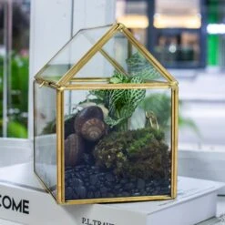 Handmade NCYP Geometric Glass Gold Terrarium Box House Shape, Close, Tabletop, Swing Lid For Air Plants Moss Snail Reptile Habitat -Ncyp Garden Sale Shop 20190923001 7