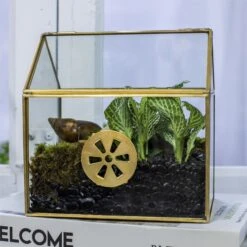 Handmade NCYP Geometric Glass Gold Terrarium Box House Shape, Close, Tabletop, Swing Lid For Air Plants Moss Snail Reptile Habitat -Ncyp Garden Sale Shop 20190923001 9