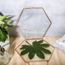 Hanging Hexagon Herbarium Copper Glass Frame For Pressed Flowers Dried Flowers Floating Frame -Ncyp Garden Sale Shop 20200409016 3