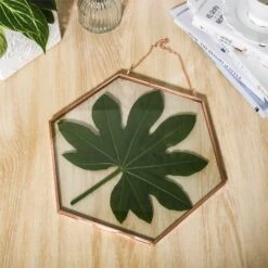 Hanging Hexagon Herbarium Copper Glass Frame For Pressed Flowers Dried Flowers Floating Frame -Ncyp Garden Sale Shop 20200409016 5