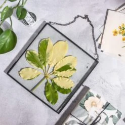 Handmade Black Large Wall Hanging Brass Glass Artwork Certificate Photo Display Floating Frame -Ncyp Garden Sale Shop 20200409024 3