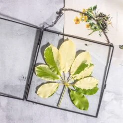 Handmade Black Large Wall Hanging Brass Glass Artwork Certificate Photo Display Floating Frame -Ncyp Garden Sale Shop 20200409024 4