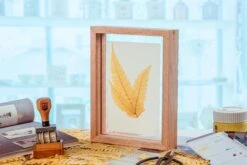 Preserved Large Fern Parathelypteris Glanduligera, Gold, 5 Pcs, 55cm Long, 35cm Width, For DIY -Ncyp Garden Sale Shop 20200518014 5