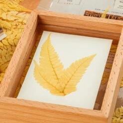 Preserved Large Fern Parathelypteris Glanduligera, Gold, 5 Pcs, 55cm Long, 35cm Width, For DIY -Ncyp Garden Sale Shop 20200518014 6