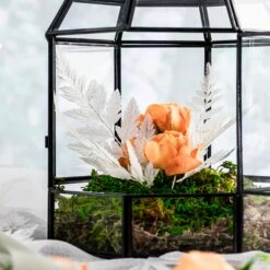 Preserved Pressed Flower Davallia Mariesii, Squirrel's Foot Fern Leaf , Multiple Color, 5 Pcs, 12inches Long, 8inches Width, DIY Material -Ncyp Garden Sale Shop 20200518022 2