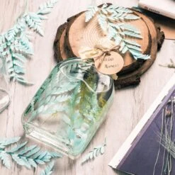 Preserved Pressed Flower Davallia Mariesii, Squirrel's Foot Fern Leaf , Multiple Color, 5 Pcs, 12inches Long, 8inches Width, DIY Material -Ncyp Garden Sale Shop 20200518029 10