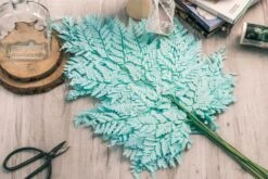 Preserved Pressed Flower Davallia Mariesii, Squirrel's Foot Fern Leaf , Multiple Color, 5 Pcs, 12inches Long, 8inches Width, DIY Material -Ncyp Garden Sale Shop 20200518029 2