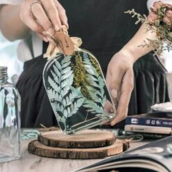 Preserved Pressed Flower Davallia Mariesii, Squirrel's Foot Fern Leaf , Multiple Color, 5 Pcs, 12inches Long, 8inches Width, DIY Material -Ncyp Garden Sale Shop 20200518029 6