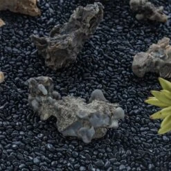 Black Natural Polished Pebbles For Terrarium, Bonsai, Small Planters, Moss, Fern, Succulents 9 Black Natural Polished Pebbles For Terrarium, Bonsai, Small Planters, Moss, Fern, Succulents -Ncyp Garden Sale Shop 2020072800 5