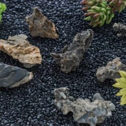 Black Natural Polished Pebbles For Terrarium, Bonsai, Small Planters, Moss, Fern, Succulents 10 Black Natural Polished Pebbles For Terrarium, Bonsai, Small Planters, Moss, Fern, Succulents -Ncyp Garden Sale Shop 2020072800 6