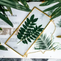 NCYP 4x9" Horizontal Brass Double Glass Picture Frame Wall Hanging, Photo Specimen Card Holder Modern Home Geometric Decor Display Gift