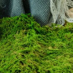 Preserved Feature Like Natural Moss, Fern Moss, Pole Moss Green 20x50cm, For DIY Moss Wall, Moss Terrarium, Moss Centerpiece, Moss Bowl, Centerpiece