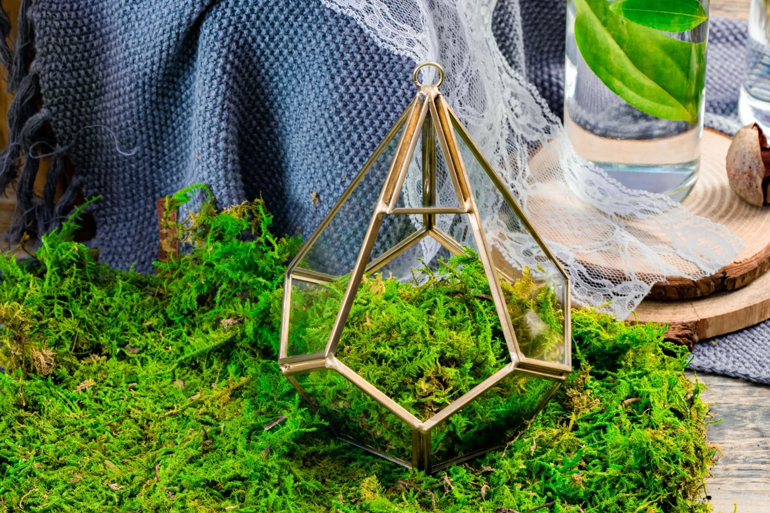 Preserved Feature Like Natural Moss, Fern Moss, Pole Moss Green 20x50cm, For DIY Moss Wall, Moss Terrarium, Moss Centerpiece, Moss Bowl, Centerpiece 5 Preserved Feature Like Natural Moss, Fern Moss, Pole Moss Green 20x50cm, For DIY Moss Wall, Moss Terrarium, Moss Centerpiece, Moss Bowl, Centerpiece - Image 5