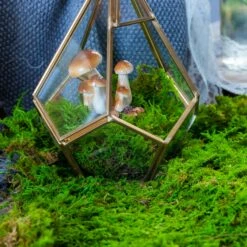 Preserved Feature Like Natural Moss, Fern Moss, Pole Moss Green 20x50cm, For DIY Moss Wall, Moss Terrarium, Moss Centerpiece, Moss Bowl, Centerpiece 8 Preserved Feature Like Natural Moss, Fern Moss, Pole Moss Green 20x50cm, For DIY Moss Wall, Moss Terrarium, Moss Centerpiece, Moss Bowl, Centerpiece -Ncyp Garden Sale Shop 20210323006 5