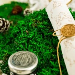 Preserved Forever Green Moss, Pole Moss Green 20x50cm, For DIY Moss Wall, Moss Terrarium, Moss Centerpiece, Moss Bowl, Centerpiece 8 Preserved Forever Green Moss, Pole Moss Green 20x50cm, For DIY Moss Wall, Moss Terrarium, Moss Centerpiece, Moss Bowl, Centerpiece -Ncyp Garden Sale Shop 20210323008 4