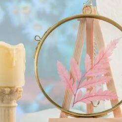 NCYP Wall Hanging Round 5" 4.3" Herbarium Brass Glass Frame For Pressed Flowers, Dried Flowers, Poster, Double Glass, Floating Frame -Ncyp Garden Sale Shop 20210522001 3