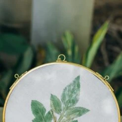 NCYP Wall Hanging Round 5" 4.3" Herbarium Brass Glass Frame For Pressed Flowers, Dried Flowers, Poster, Double Glass, Floating Frame -Ncyp Garden Sale Shop 20210522003 5