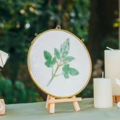 NCYP Wall Hanging Round 5" 4.3" Herbarium Brass Glass Frame For Pressed Flowers, Dried Flowers, Poster, Double Glass, Floating Frame