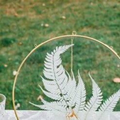 NCYP Wall Hanging Round 8" 10" 12" Herbarium Brass Glass Frame For Pressed Flowers, Poster, Double Glass, Floating Frame -Ncyp Garden Sale Shop 20210522004 6