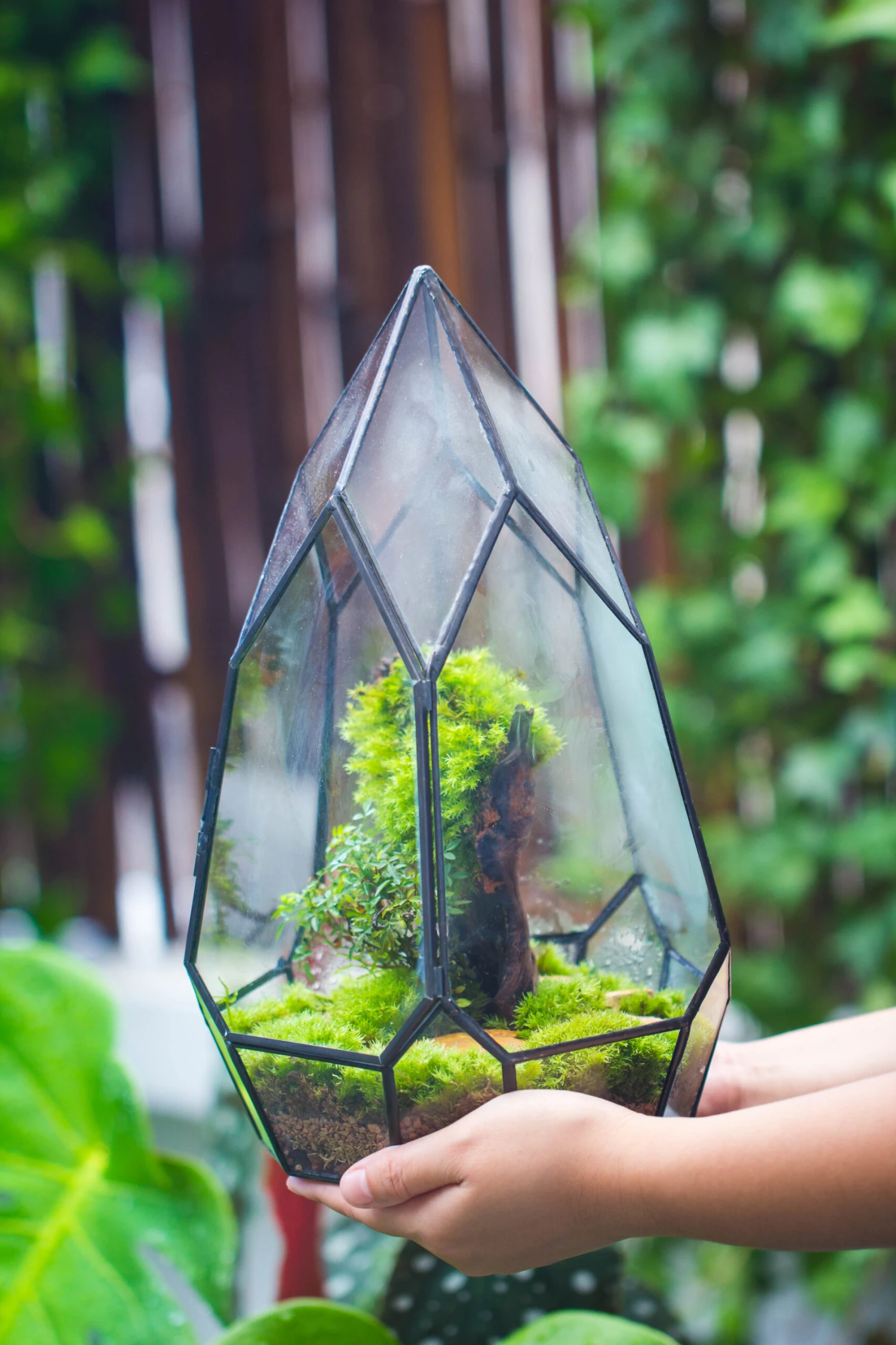 NCYP Irregular Close Geometric Glass Terrarium With Door Tall Teardrop Planter Pot Miniature Moss, Tropical Plants Orchid Container 3 NCYP Irregular Close Geometric Glass Terrarium With Door Tall Teardrop Planter Pot Miniature Moss, Tropical Plants Orchid Container - Image 3