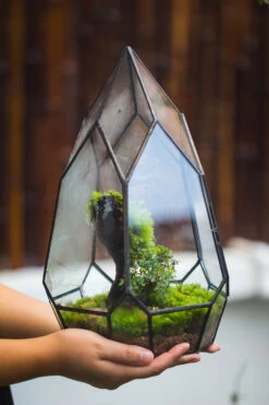NCYP Irregular Close Geometric Glass Terrarium With Door Tall Teardrop Planter Pot Miniature Moss, Tropical Plants Orchid Container 10 NCYP Irregular Close Geometric Glass Terrarium With Door Tall Teardrop Planter Pot Miniature Moss, Tropical Plants Orchid Container -Ncyp Garden Sale Shop 20210624001 4