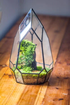 NCYP Irregular Close Geometric Glass Terrarium With Door Tall Teardrop Planter Pot Miniature Moss, Tropical Plants Orchid Container 11 NCYP Irregular Close Geometric Glass Terrarium With Door Tall Teardrop Planter Pot Miniature Moss, Tropical Plants Orchid Container -Ncyp Garden Sale Shop 20210624001 5