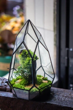 NCYP Irregular Close Geometric Glass Terrarium With Door Tall Teardrop Planter Pot Miniature Moss, Tropical Plants Orchid Container 12 NCYP Irregular Close Geometric Glass Terrarium With Door Tall Teardrop Planter Pot Miniature Moss, Tropical Plants Orchid Container -Ncyp Garden Sale Shop 20210624001 6