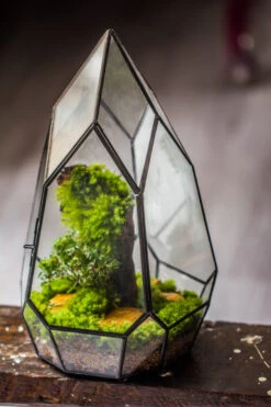 NCYP Irregular Close Geometric Glass Terrarium With Door Tall Teardrop Planter Pot Miniature Moss, Tropical Plants Orchid Container 13 NCYP Irregular Close Geometric Glass Terrarium With Door Tall Teardrop Planter Pot Miniature Moss, Tropical Plants Orchid Container -Ncyp Garden Sale Shop 20210624001 7