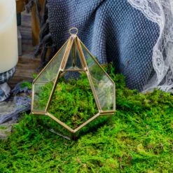 Handmade Hanging Teardrop Shape, Gold, Glass Geomtric Terrarium, Ring Holder Proposal Wedding Ring Box -Ncyp Garden Sale Shop 20210812001 3