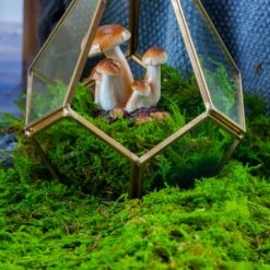 Handmade Hanging Teardrop Shape, Gold, Glass Geomtric Terrarium, Ring Holder Proposal Wedding Ring Box -Ncyp Garden Sale Shop 20210812001 5
